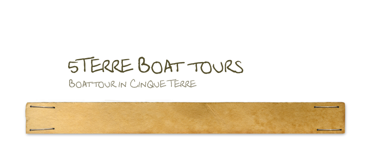 Boat tour in Cinque Terre 
